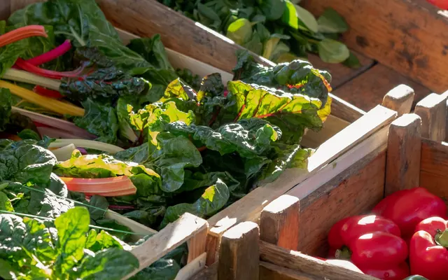 Frische Paprika, Tomaten und weiteres Gemüse an einem Marktstand