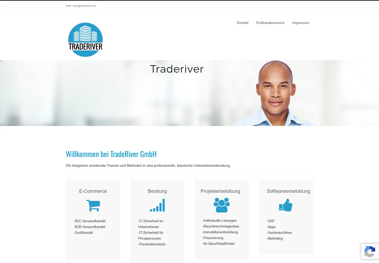 Originalaufnahme der früheren TradeRiver-WordPress-Startseite